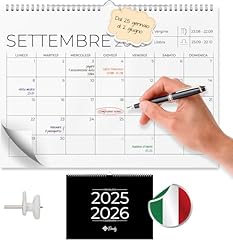 Finoly calendario 2025 usato  Spedito ovunque in Italia 