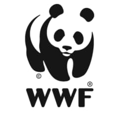 Wwf videos for sale  Delivered anywhere in USA 