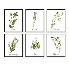 Kitchen herbs art for sale  Delivered anywhere in USA 