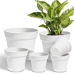 T4u plant pots for sale  Delivered anywhere in USA 