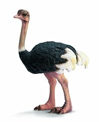 Schleich 14325 strauß gebraucht kaufen  Wird an jeden Ort in Deutschland