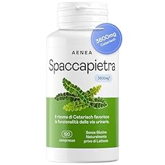 Aenea spaccapietra 3600 usato  Spedito ovunque in Italia 