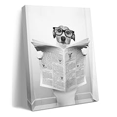 Ploceiny funny potty for sale  Delivered anywhere in USA 