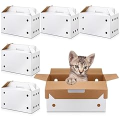 Gilprop pack cardboard for sale  Delivered anywhere in USA 