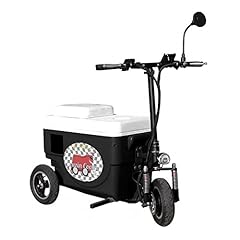 Cruzin cooler sport for sale  Delivered anywhere in USA 