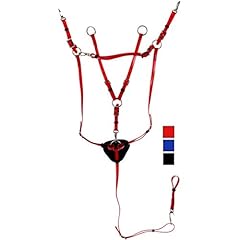 Daslö collier chasse d'occasion  Livré partout en France