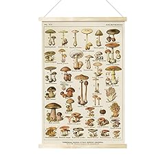Vintage mushroom poster for sale  Delivered anywhere in Canada