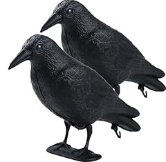 Cytgouper realistic crow for sale  Delivered anywhere in USA 