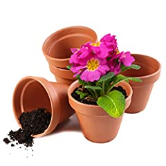 Garden Mania - 12 Mini Terracotta Ceramic Clay Flower for sale  Delivered anywhere in UK