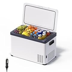 Woltu kompressor kühlbox gebraucht kaufen  Wird an jeden Ort in Deutschland