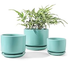 Tauci ceramic plant for sale  Delivered anywhere in USA 