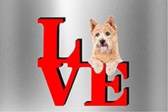 Norwich terrier dog for sale  Delivered anywhere in USA 