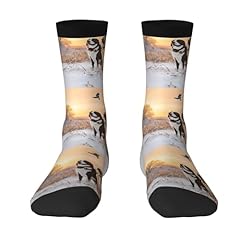 Socken hund fängt gebraucht kaufen  Wird an jeden Ort in Deutschland