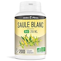 Herbes plantes saule d'occasion  Livré partout en France