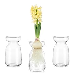 Glasseam hyacinth glass for sale  Delivered anywhere in USA 