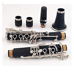 Clarinetto clarinetto professi usato  Spedito ovunque in Italia 