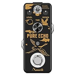 Amuzik pure echo d'occasion  Livré partout en France
