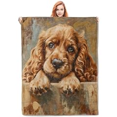 Vanzev cocker spaniel for sale  Delivered anywhere in USA 