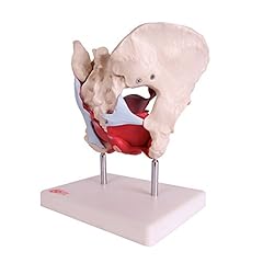 66fit 125 female for sale  Delivered anywhere in UK