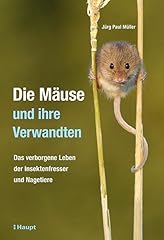 Mäuse verwandten verborgene gebraucht kaufen  Wird an jeden Ort in Deutschland