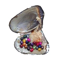 1pcs oyster rainbow for sale  Delivered anywhere in UK