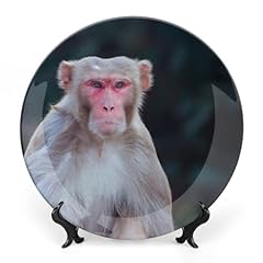 Monkey wildlife animal for sale  Delivered anywhere in USA 