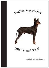 English toy terrier for sale  Delivered anywhere in UK