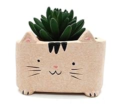 Monmob ceramic cat for sale  Delivered anywhere in USA 