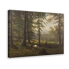 Duyigcr view clearing for sale  Delivered anywhere in USA 