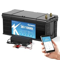 Kepworth 36v 100ah for sale  Delivered anywhere in USA 
