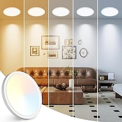 Peasur inch led for sale  Delivered anywhere in USA 
