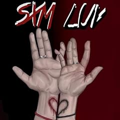 Sxm luv usato  Spedito ovunque in Italia 