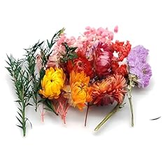 Zeayebsr trockenblumen getrock gebraucht kaufen  Wird an jeden Ort in Deutschland