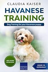 Havanese training dog for sale  Delivered anywhere in UK