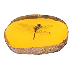Aboofan unique insect for sale  Delivered anywhere in USA 