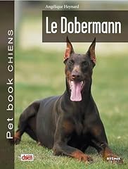 Doberman d'occasion  Livré partout en France