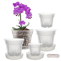 Fabulas orchid pot for sale  Delivered anywhere in USA 