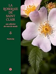 Roseraie saint clair d'occasion  Livré partout en France