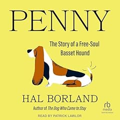 Penny the story gebraucht kaufen  Wird an jeden Ort in Deutschland