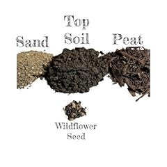 Premium ant farm for sale  Delivered anywhere in USA 