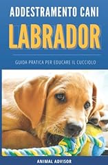 Addestramento cani labrador usato  Spedito ovunque in Italia 