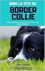 Tête border collie d'occasion  Livré partout en France