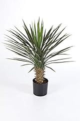 Artplants.de artificial yucca for sale  Delivered anywhere in Ireland