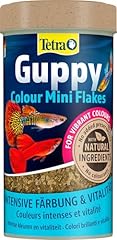 Tetra guppy colour usato  Spedito ovunque in Italia 