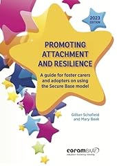 Promoting attachment resilienc for sale  Delivered anywhere in UK