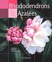 Rhododendrons azalées d'occasion  Livré partout en France