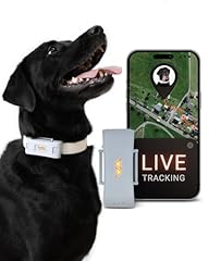 Paj gps tracker gebraucht kaufen  Wird an jeden Ort in Deutschland