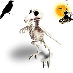 Badaren squelette corbeau d'occasion  Livré partout en France