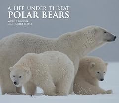 Polar bears life for sale  Delivered anywhere in UK