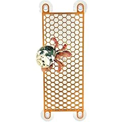 Lucky critter hermit for sale  Delivered anywhere in USA 